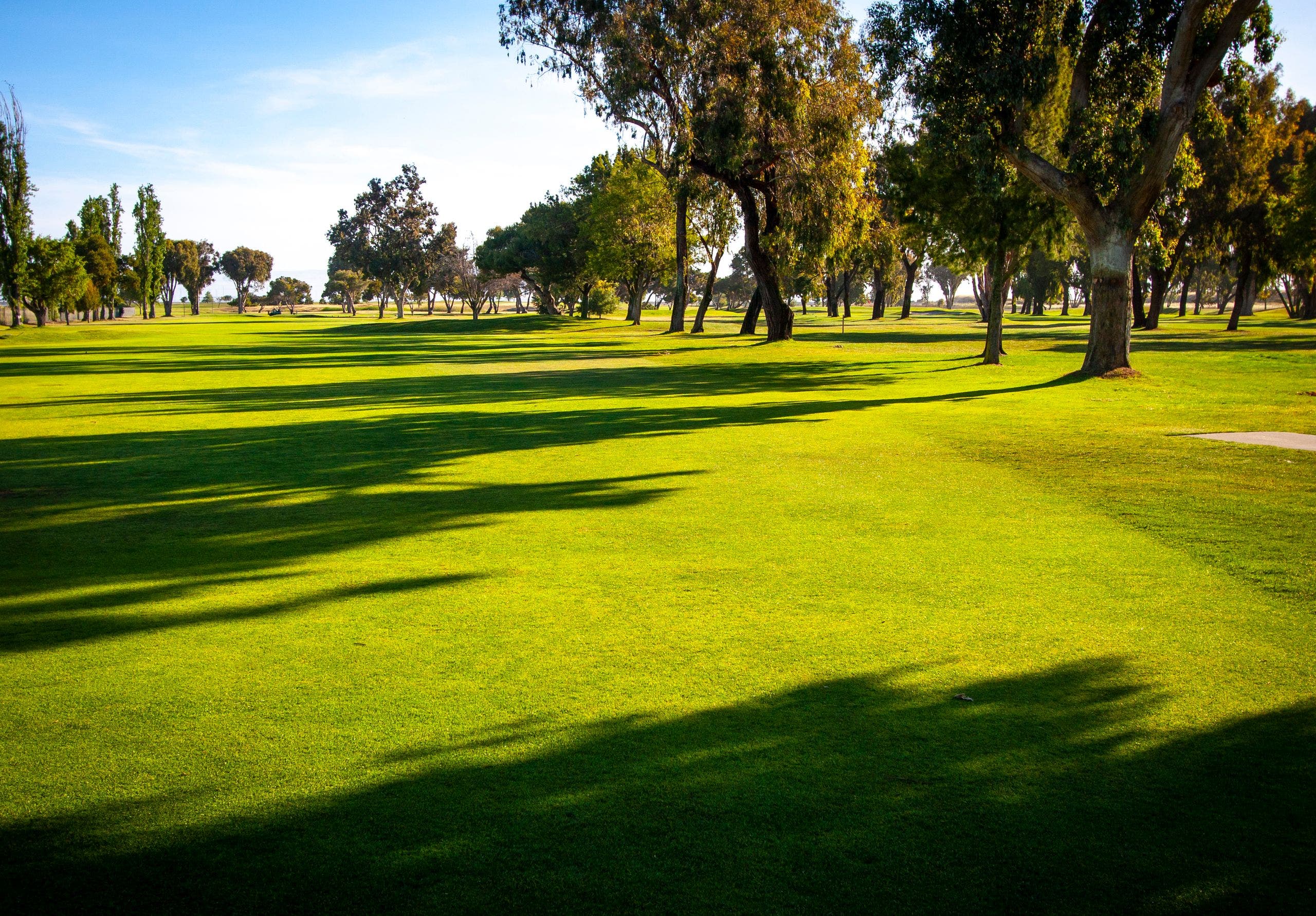 Landscape putting greens and fairway photo of the The Golf Club at Moffett Field golf course