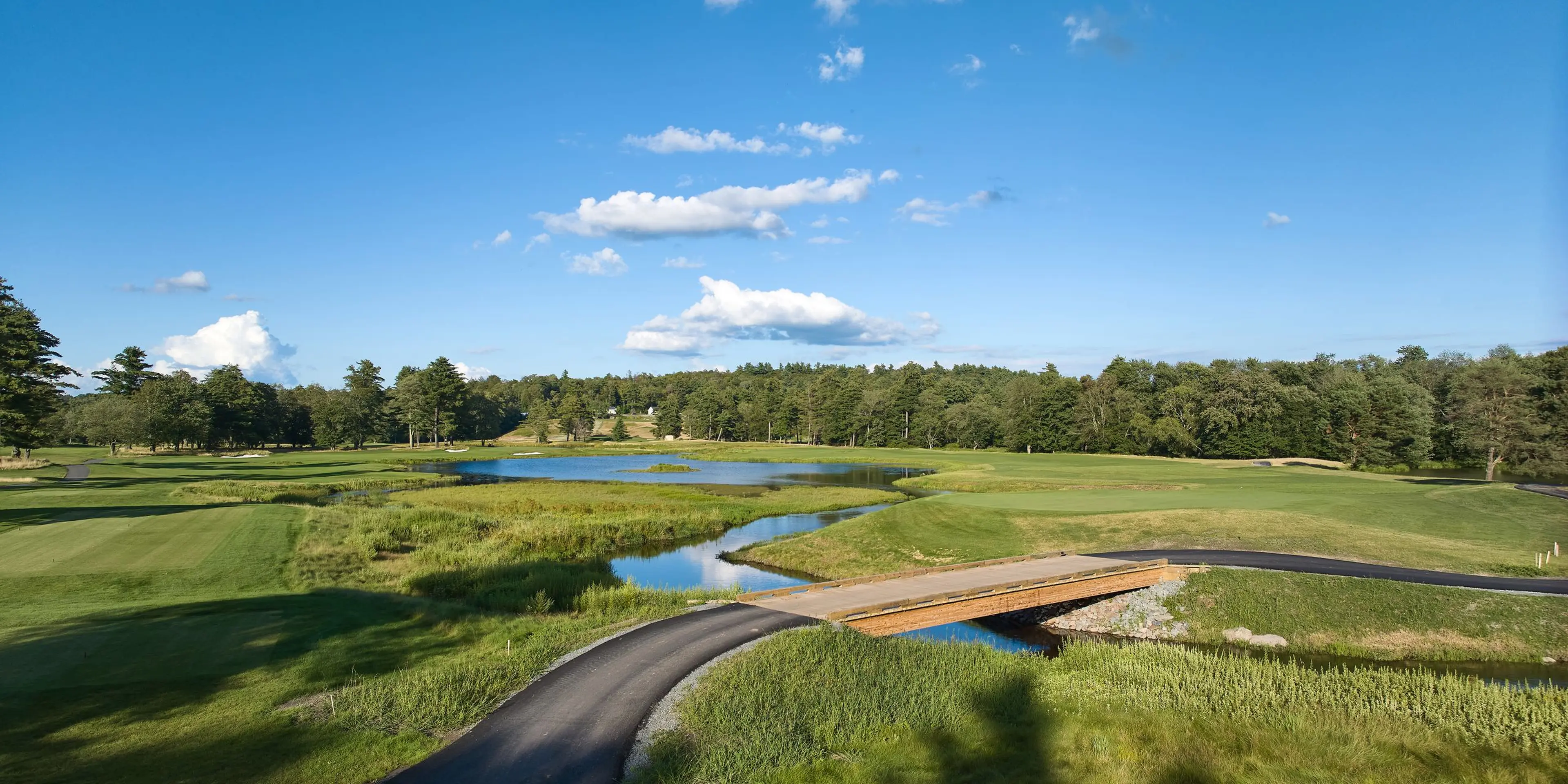 Landscape putting greens and fairway photo of the The Monster Golf Club golf course