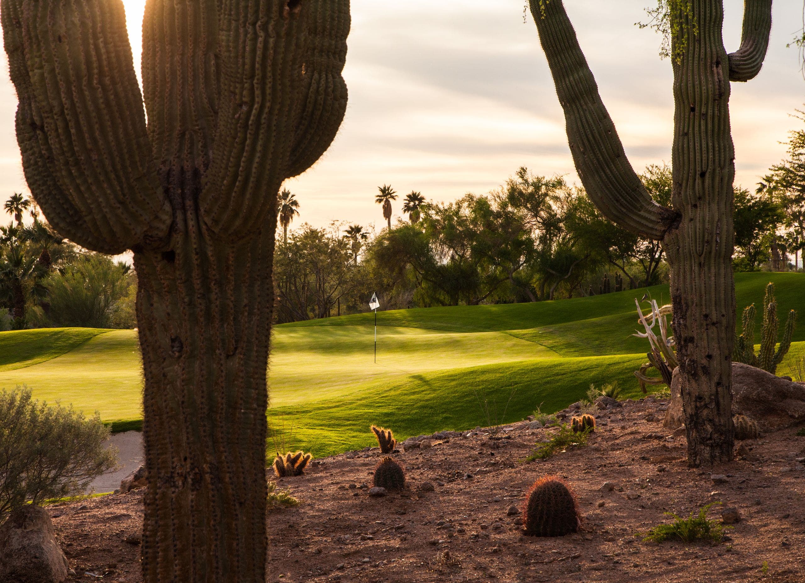 Landscape putting greens and fairway photo of the The Phoenician golf course