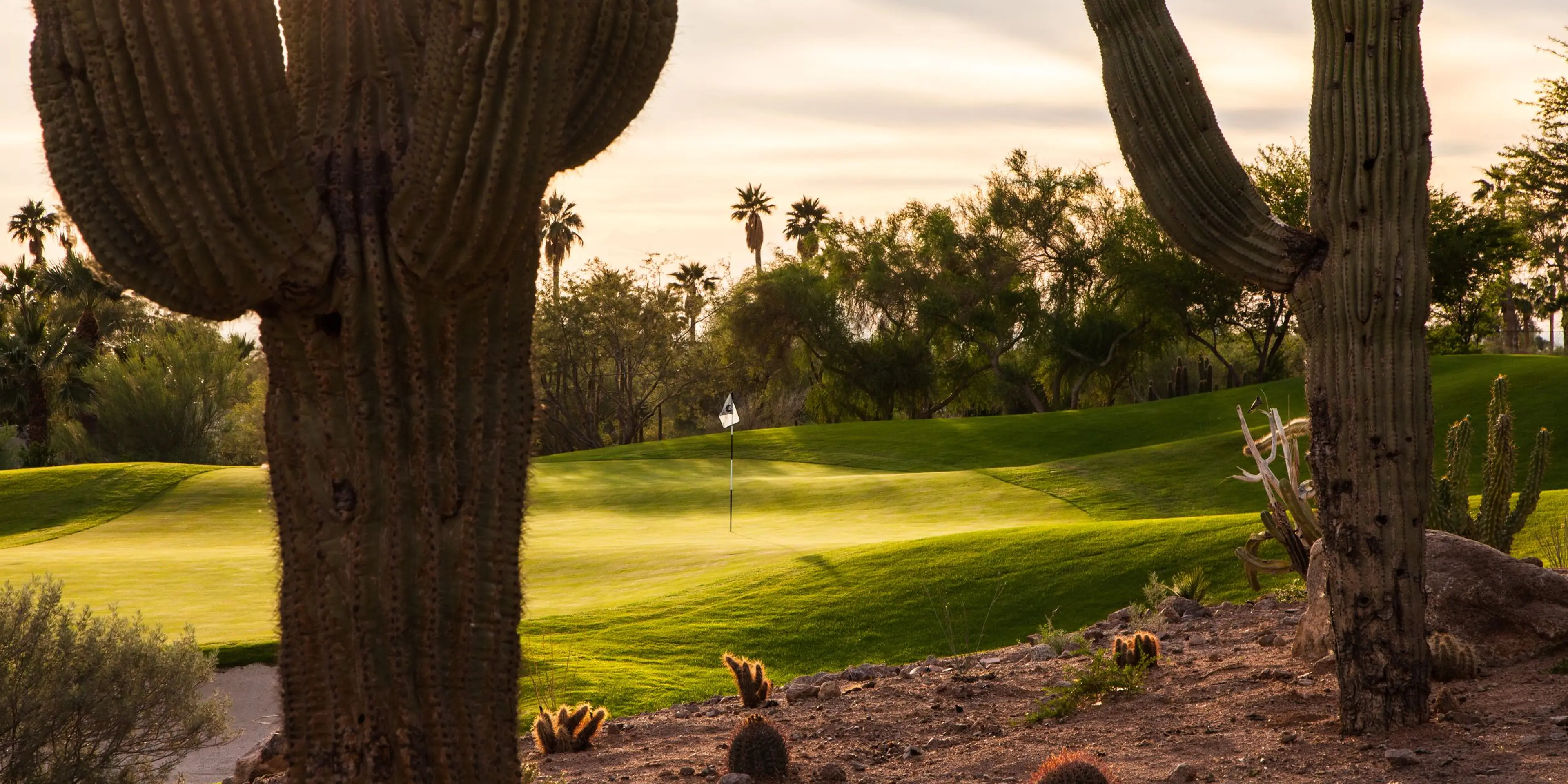 Landscape putting greens and fairway photo of the The Phoenician golf course