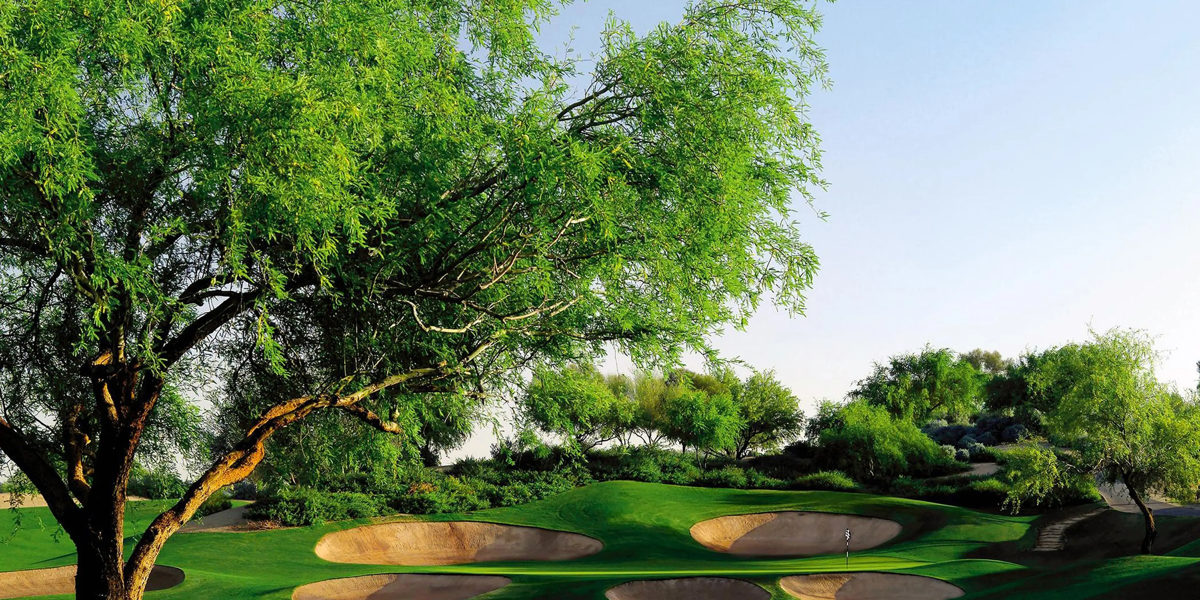 Landscape putting greens and fairway photo of the The Westin Kierland Golf Club golf course