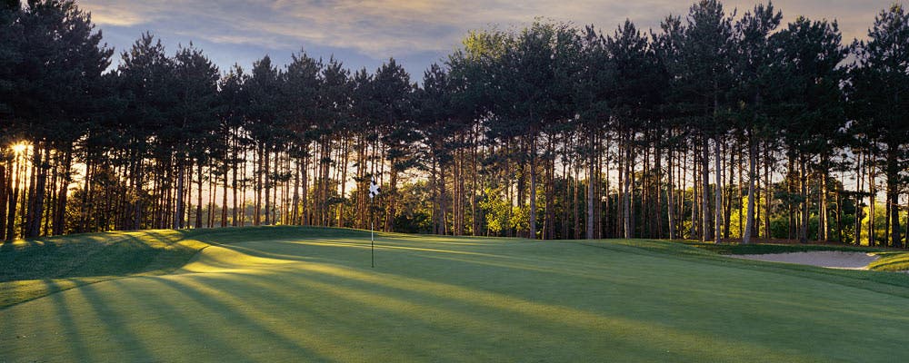 Landscape putting greens and fairway photo of the The Wilds Golf Club golf course
