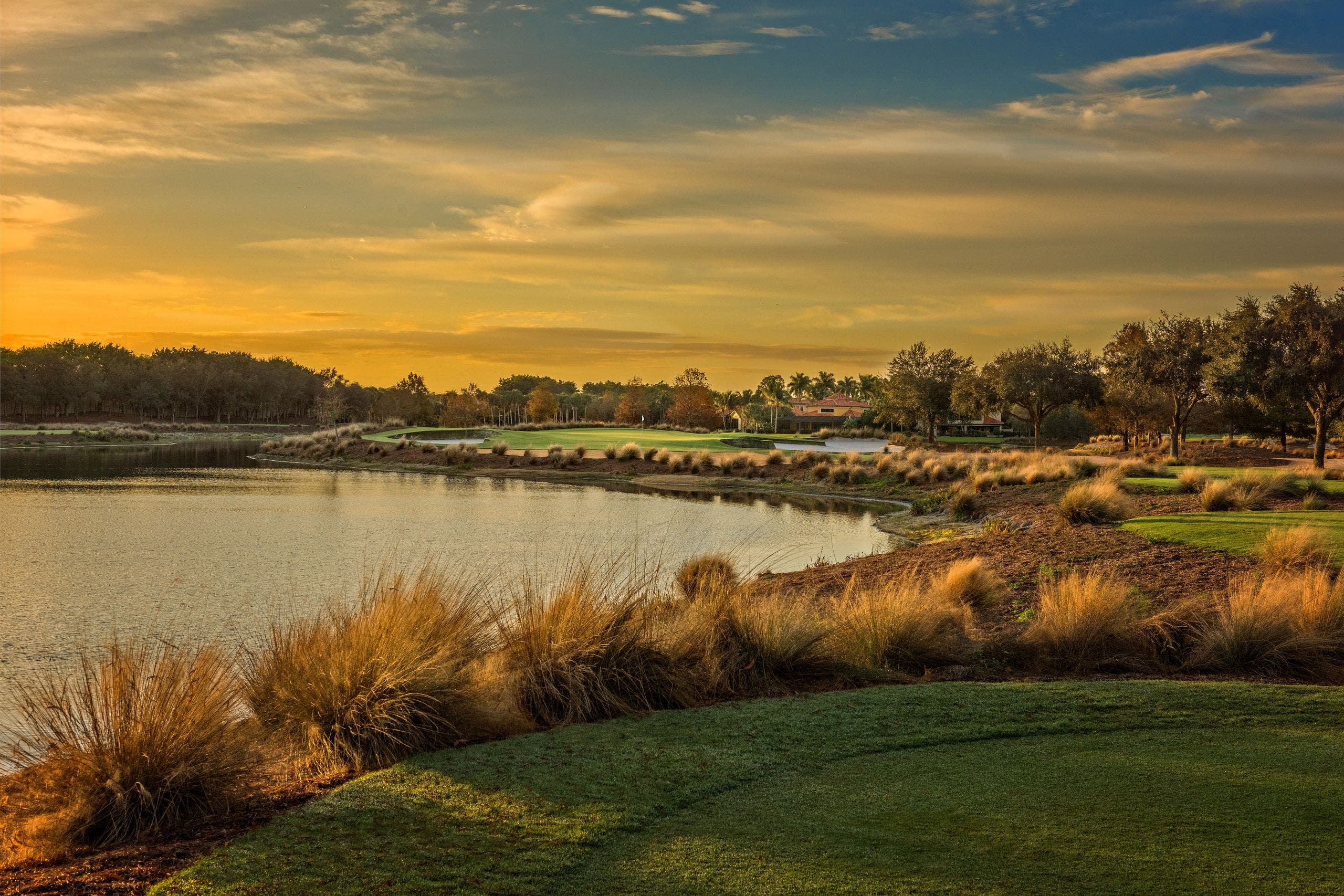 Landscape putting greens and fairway photo of the Tiburón Golf Club golf course