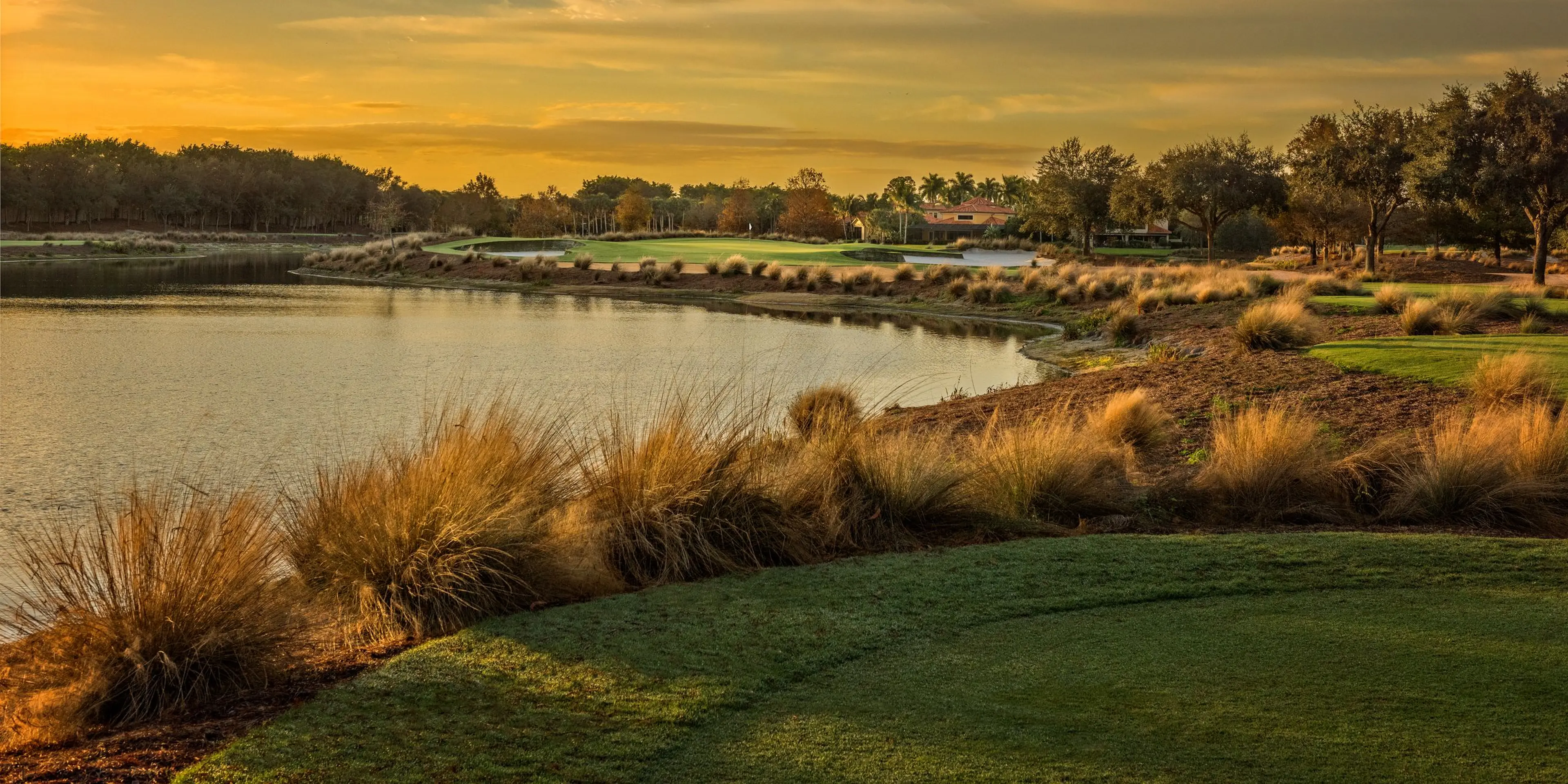 Landscape putting greens and fairway photo of the Tiburón Golf Club golf course