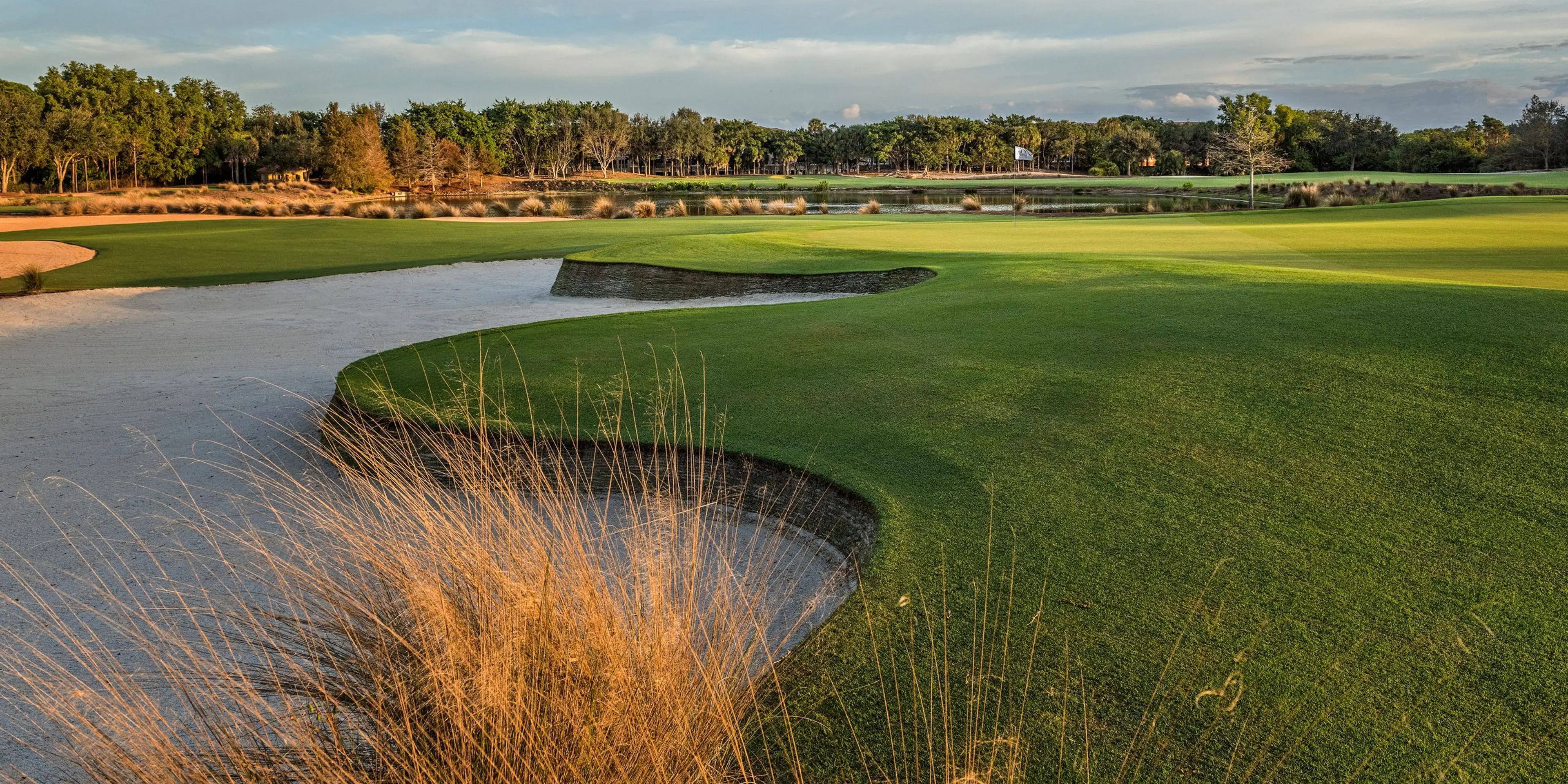 Landscape putting greens and fairway photo of the Tiburón Golf Club golf course