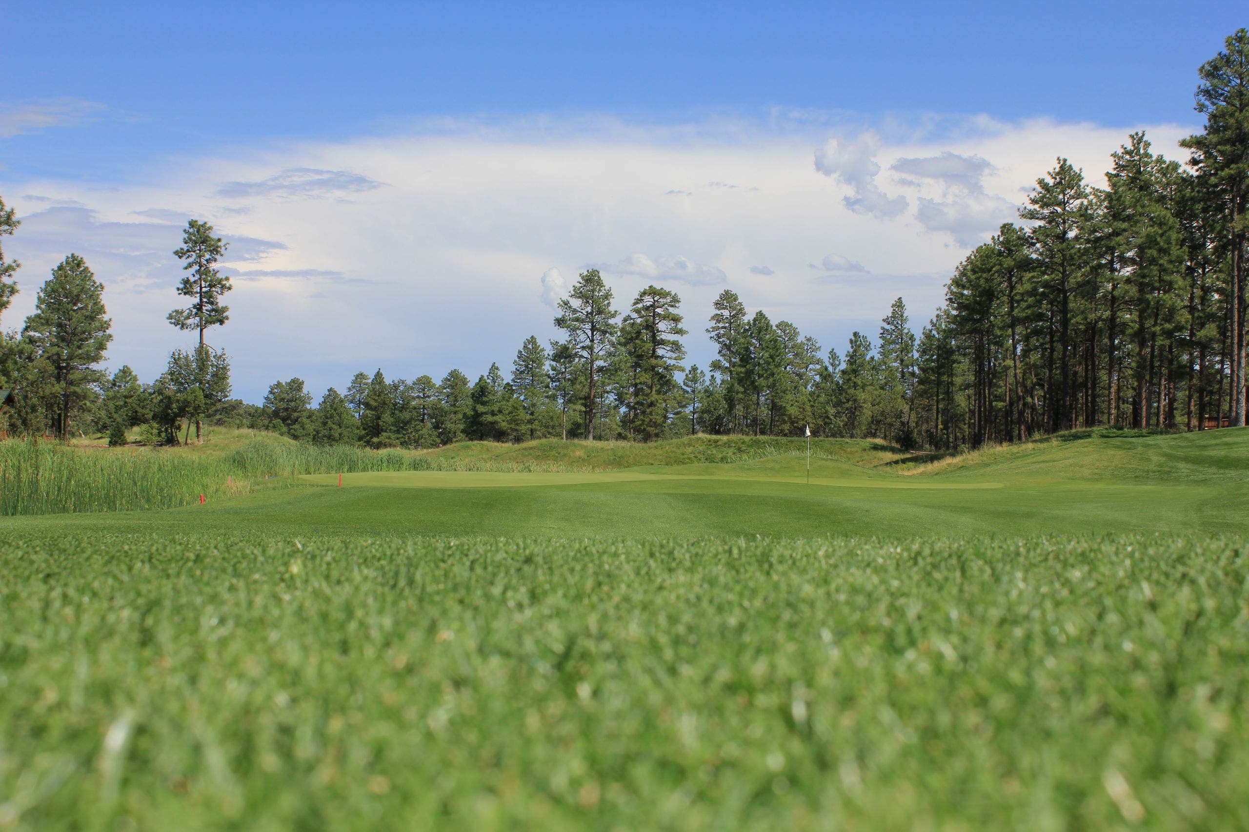 Course photo for Torreon Golf Club