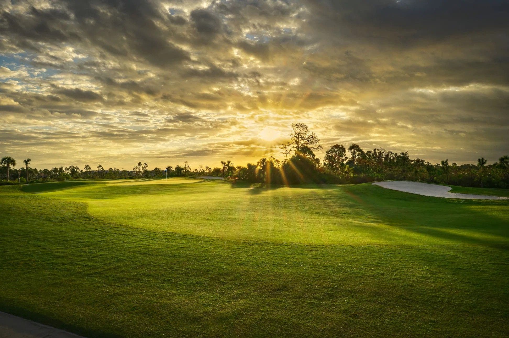 Landscape putting greens and fairway photo of the Wellen Park Golf & Country Club golf course