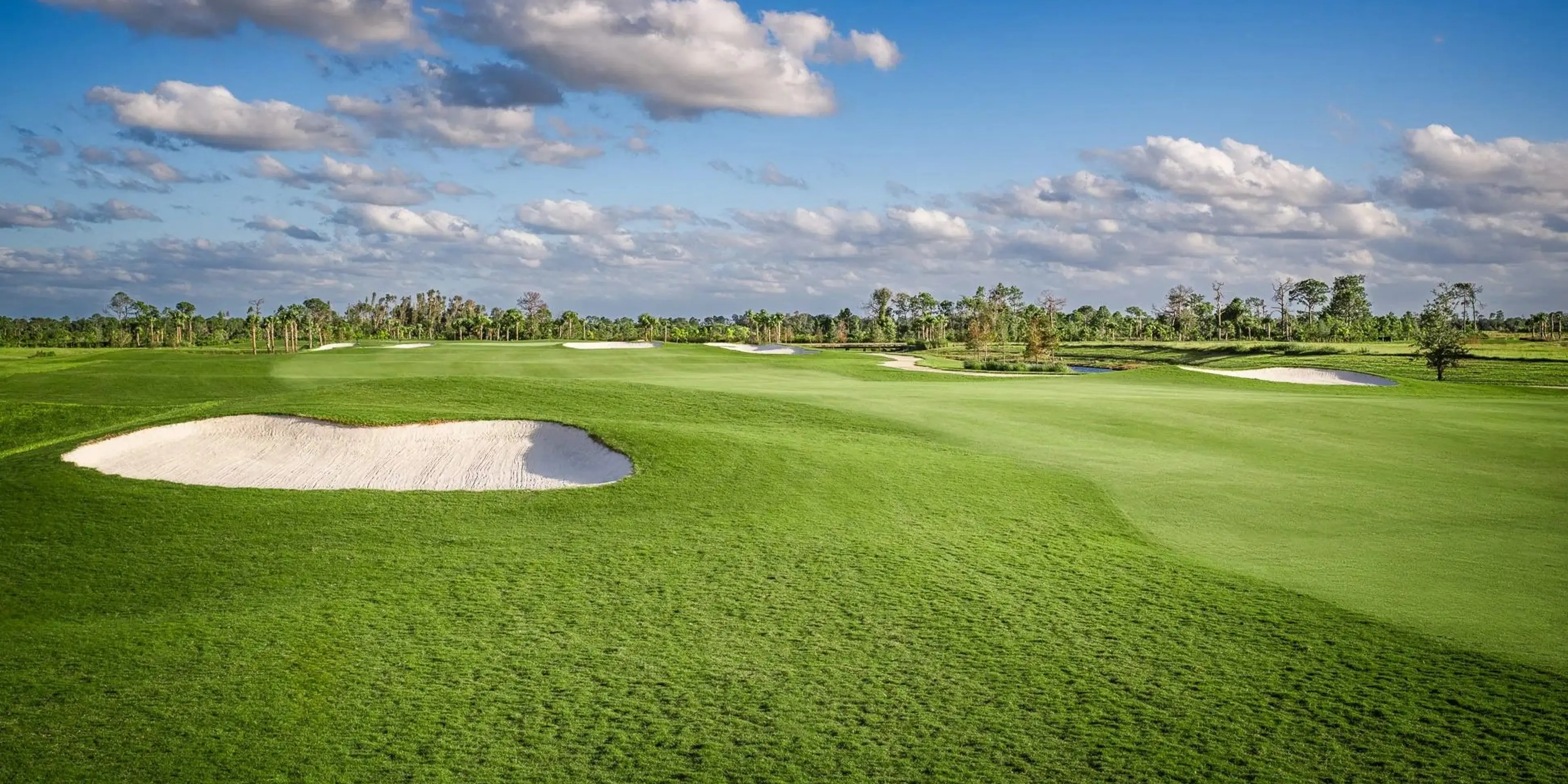 Landscape putting greens and fairway photo of the Wellen Park Golf & Country Club golf course