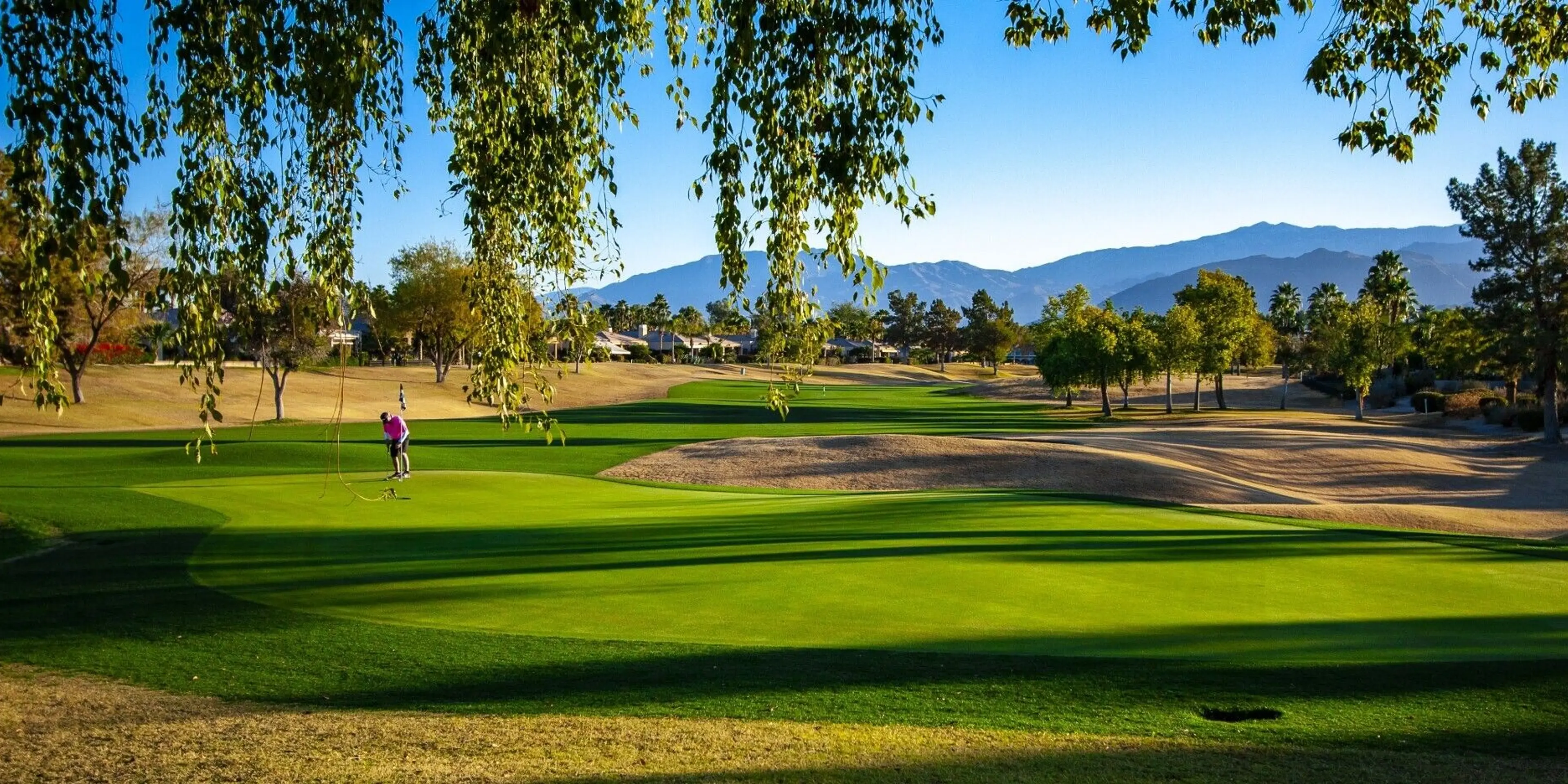 Landscape putting greens and fairway photo of the Westin Rancho Mirage Golf Resort & Spa golf course