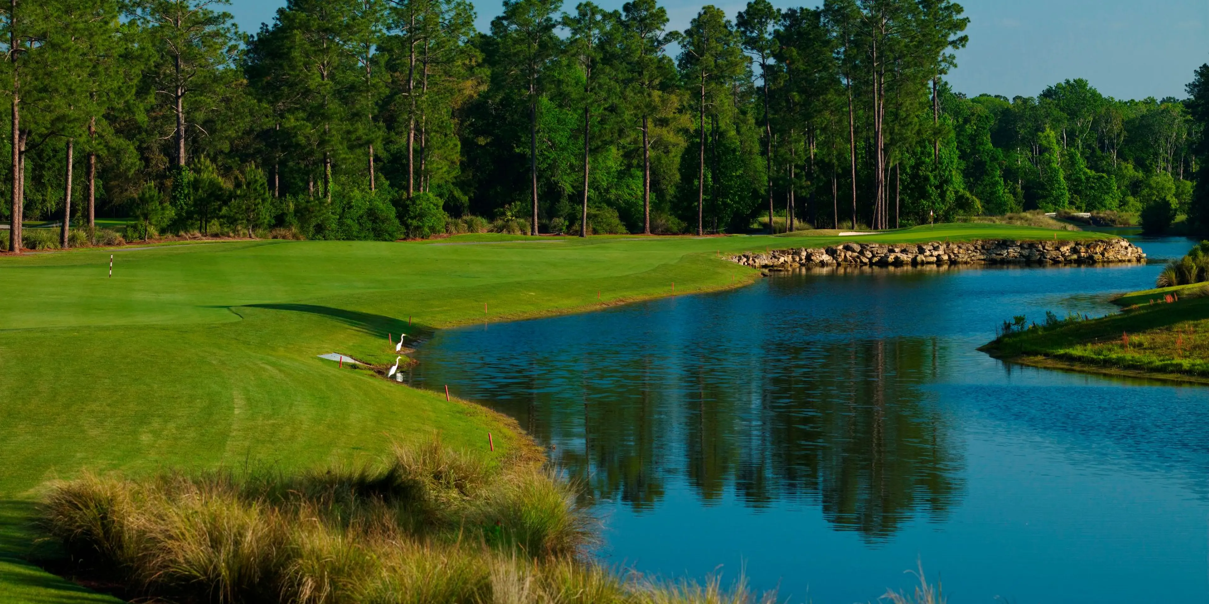 Landscape putting greens and fairway photo of the World Golf Village golf course