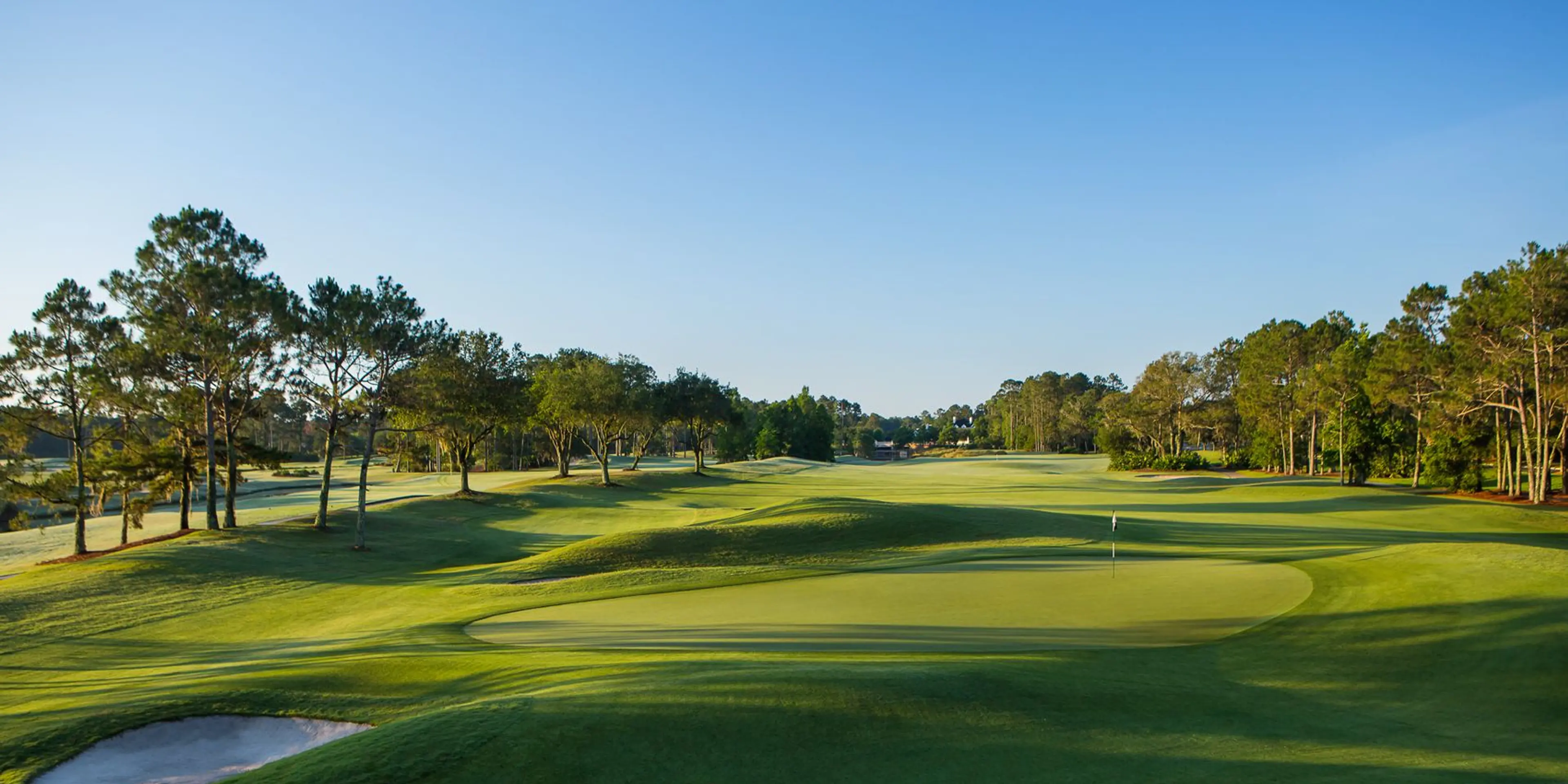 Landscape putting greens and fairway photo of the World Golf Village golf course
