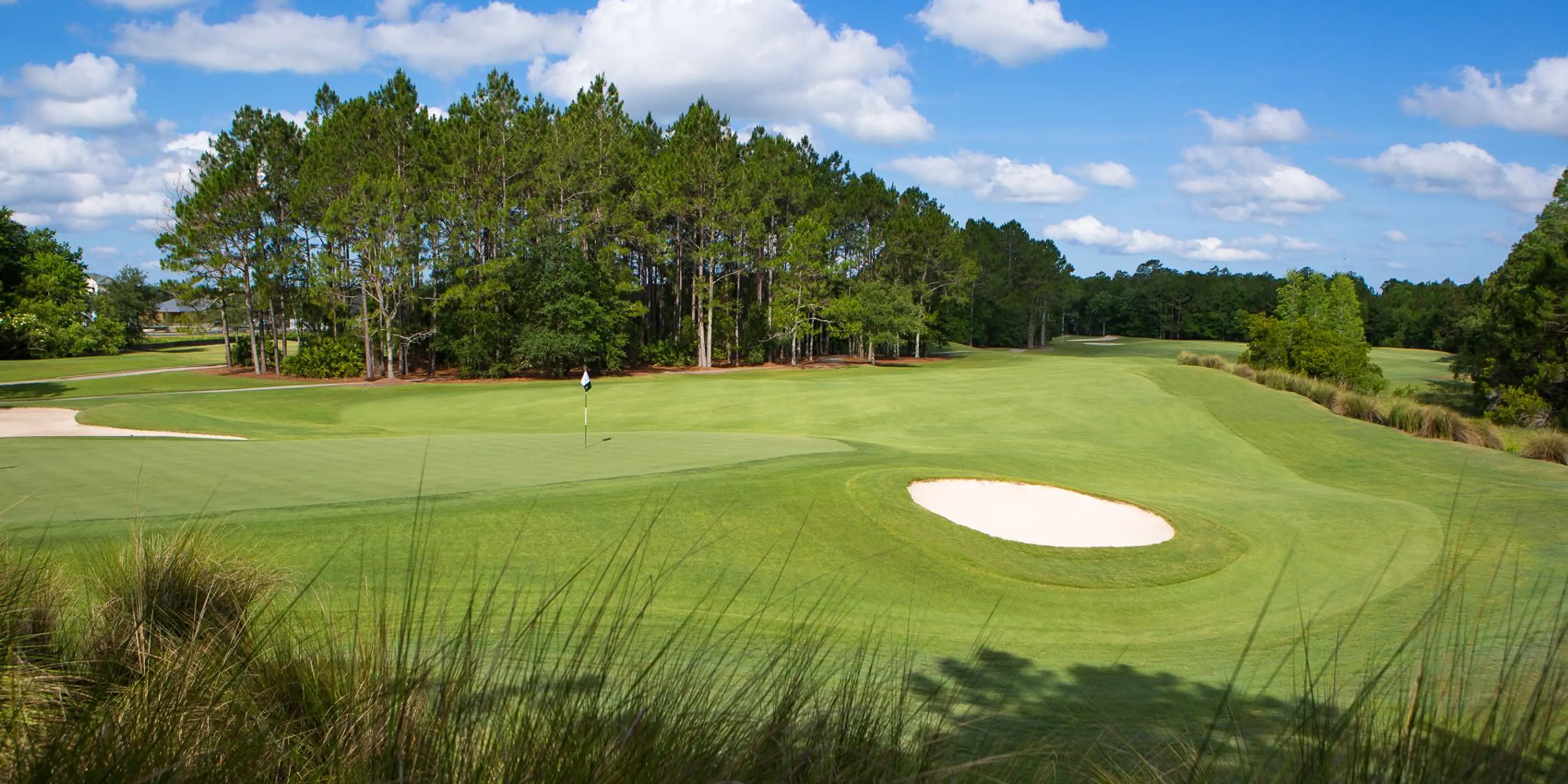Landscape putting greens and fairway photo of the World Golf Village golf course